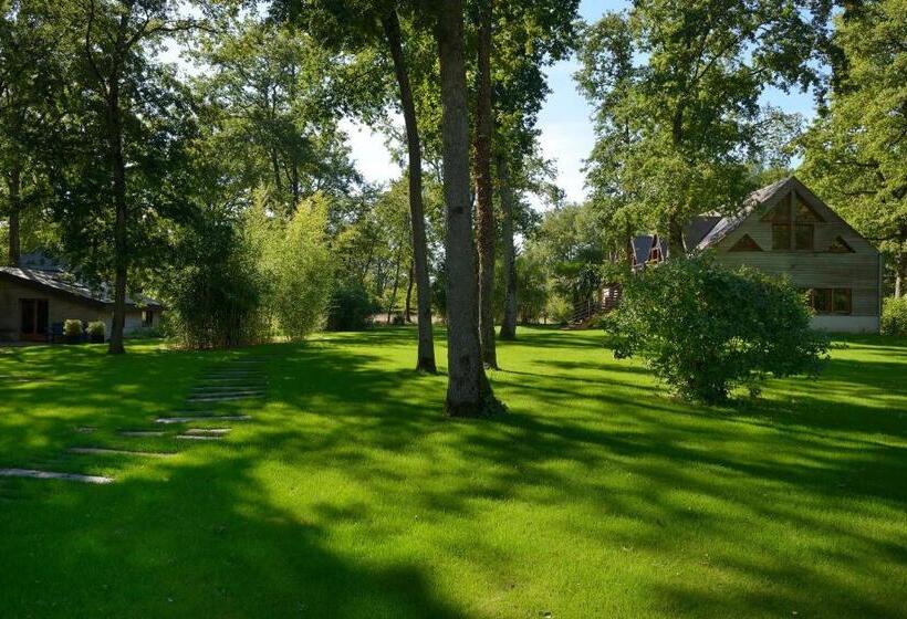 La Maison Dans Les Bois