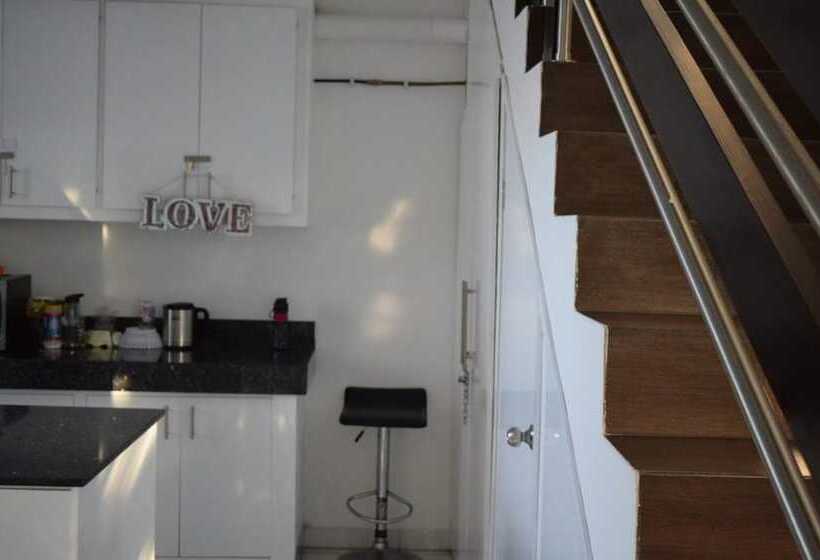 Art Factory Playa Del Carmen   Hostel