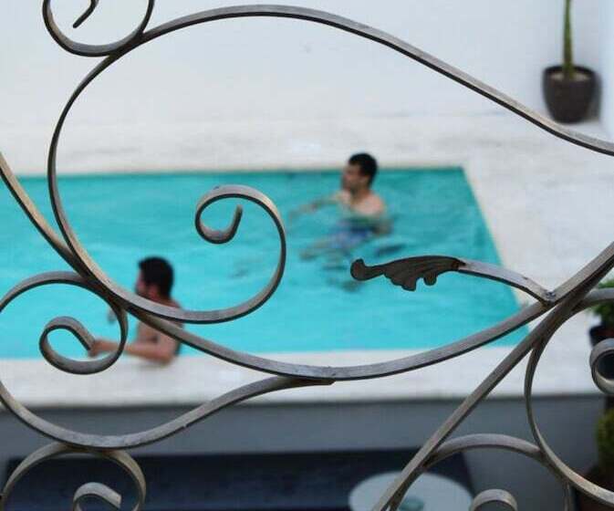 Art Factory Playa Del Carmen   Hostel