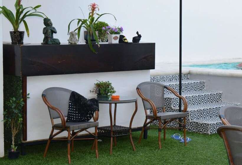 Art Factory Playa Del Carmen   Hostel