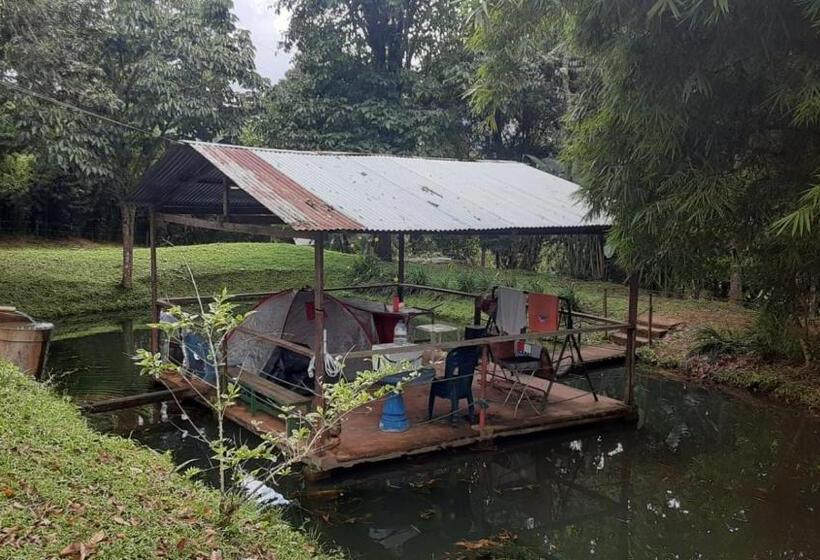 Bed and Breakfast La Casa Del Bosque Via Saladito
