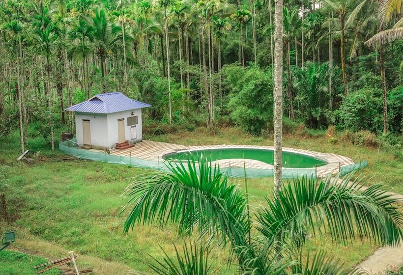 Cavern Resort Wayanad