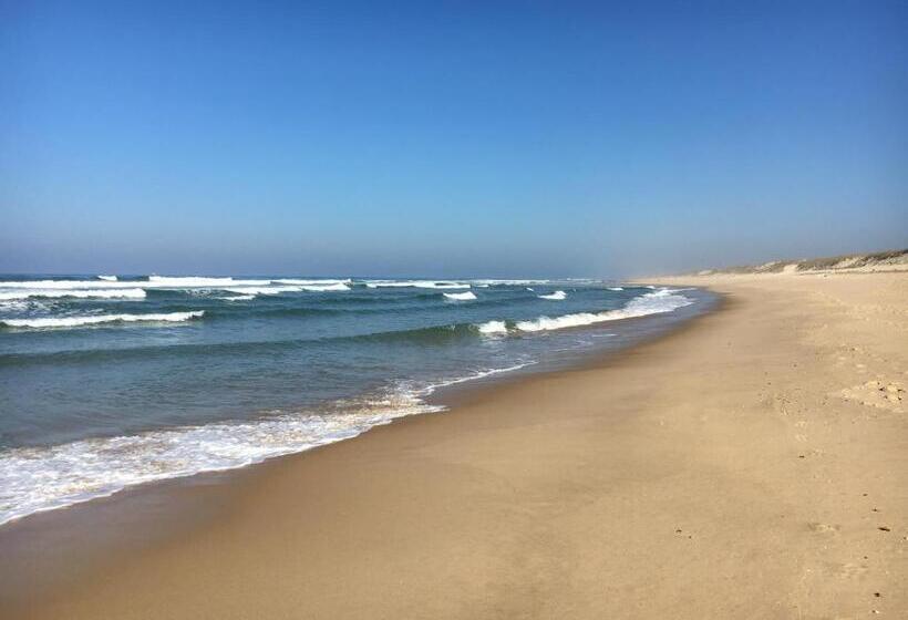 Chalet Orange Naturiste La Jenny