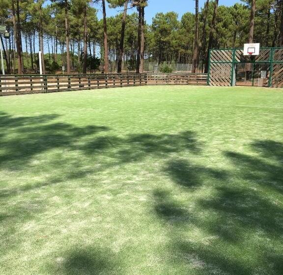 Chalet Orange Naturiste La Jenny