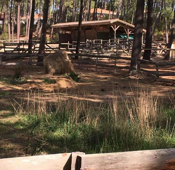 Chalet Orange Naturiste La Jenny