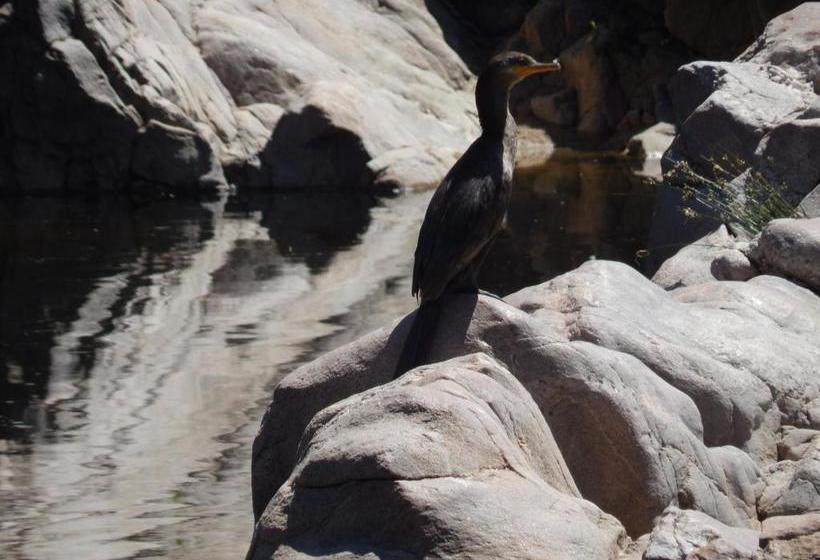 簡易ホテル Atahualpa Mi Posada