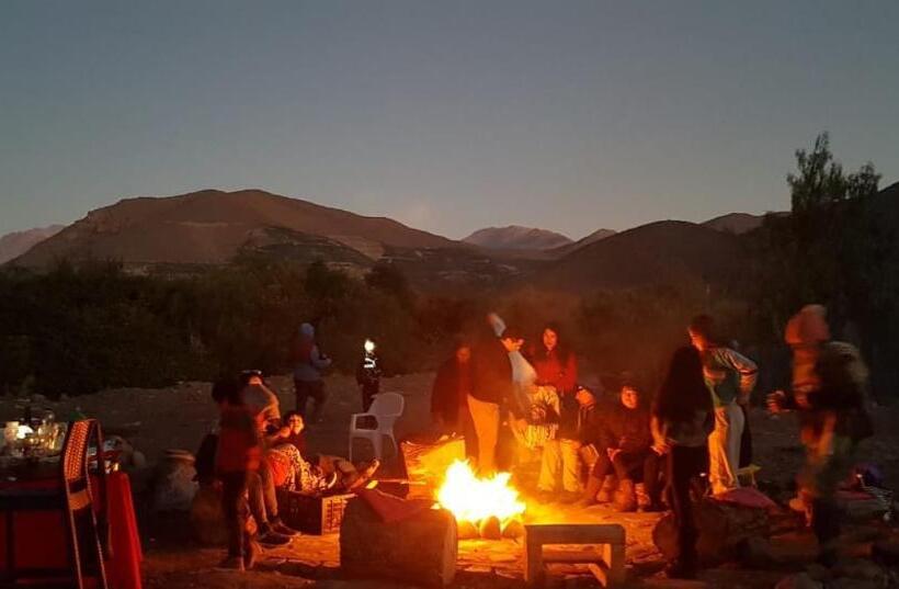 فندق Alto Ciprés