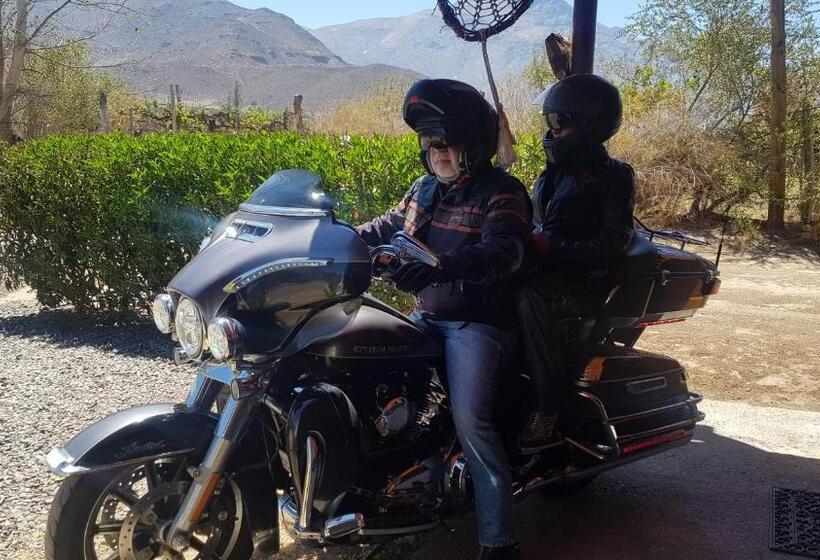 فندق Alto Ciprés