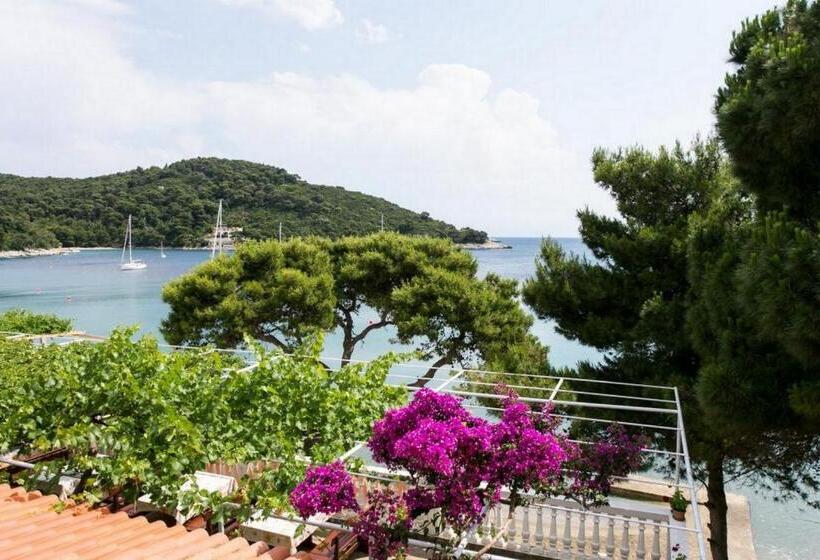 酒店 Apartments Franka Saplunara