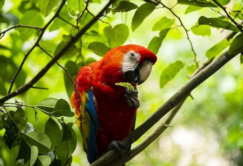 Hotel Senda Cabaña Barlovento