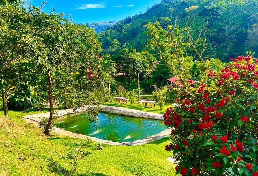 ホテル Campestre La Playa