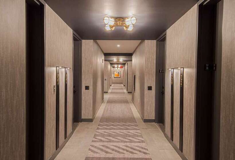 ホテル Canopy By Hilton Jersey City Arts District