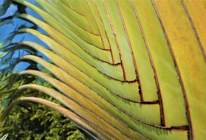 בית מלון כפרי Casa Cambutal