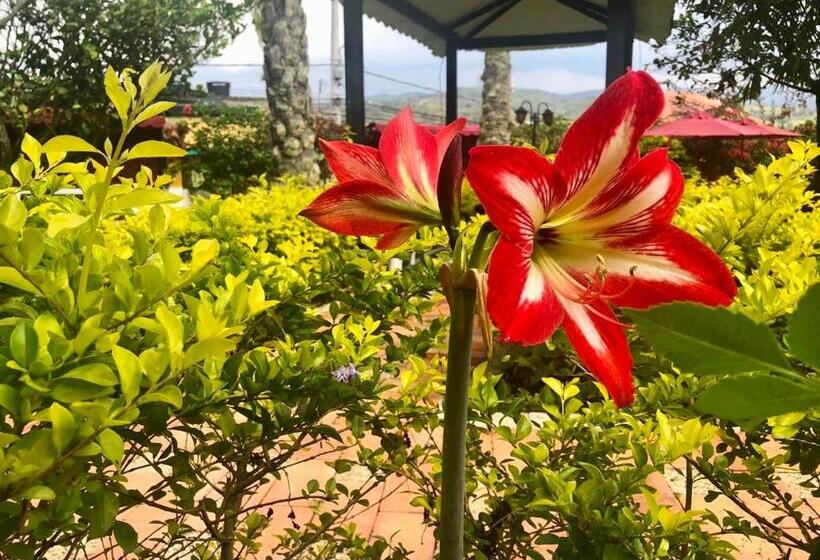 Отель Casona Del Virrey