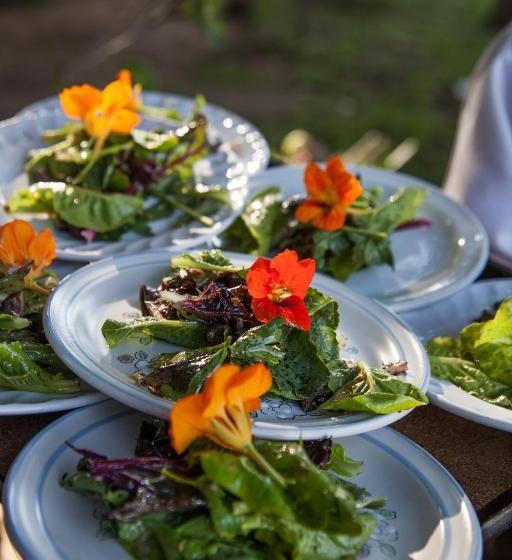 فندق Hacienda San Andrés