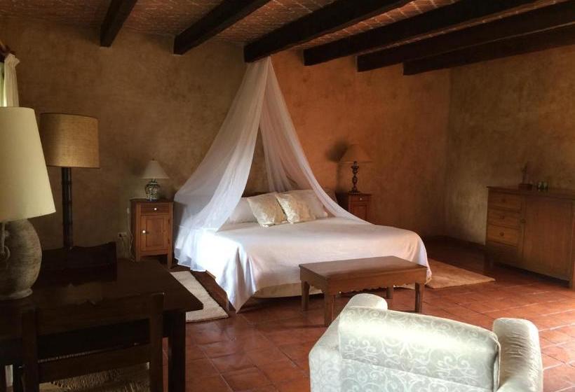 فندق Hacienda San Andrés