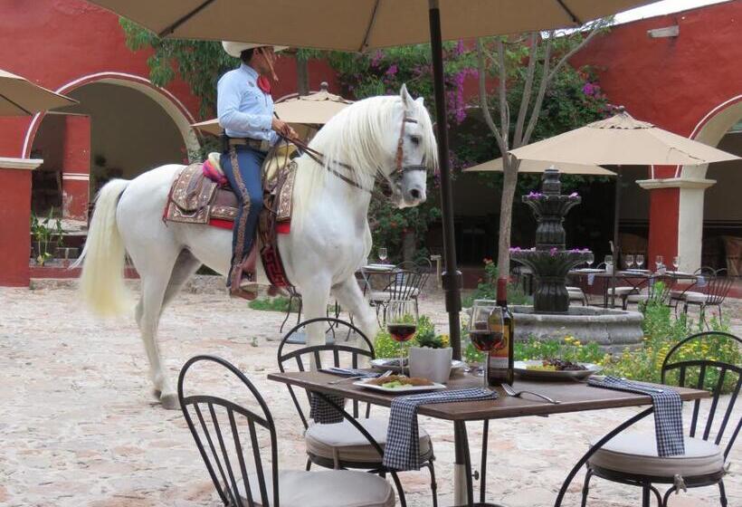 酒店 Hacienda Tovares