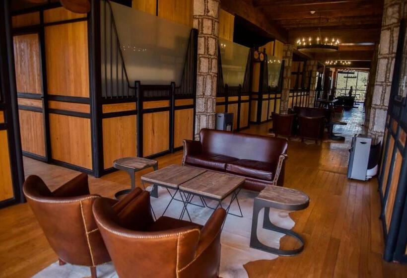 酒店 Hacienda Tovares