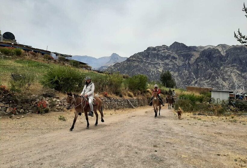 هتل La Granja Del Colca