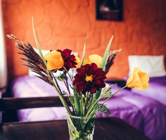 هتل La Granja Del Colca