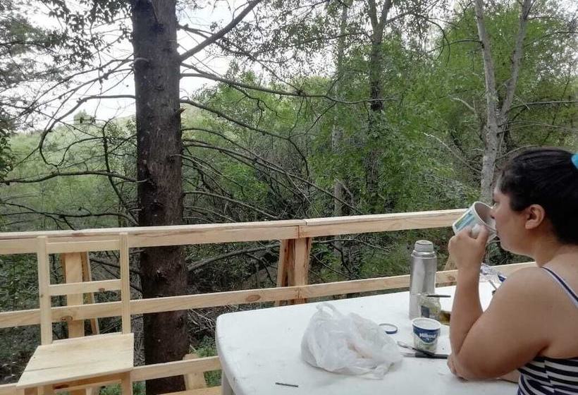 ホテル Las Zarinas 2