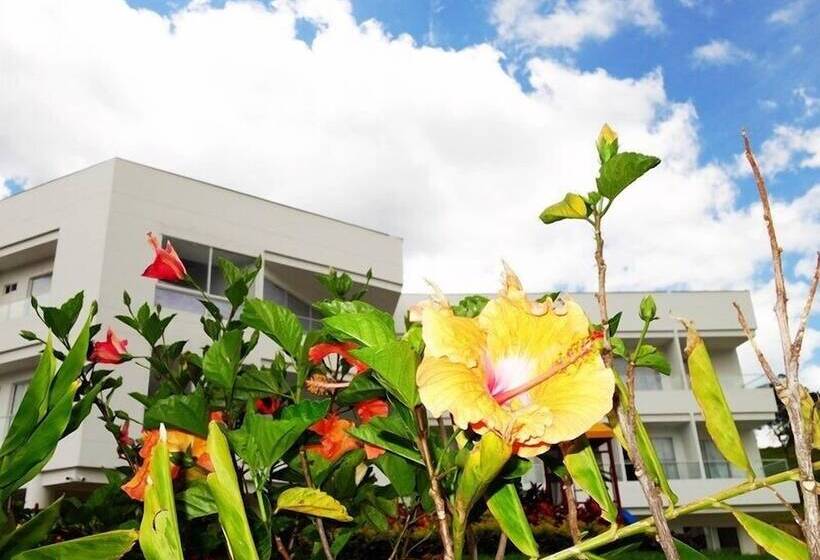 בית מלון כפרי Palmeras De Luz