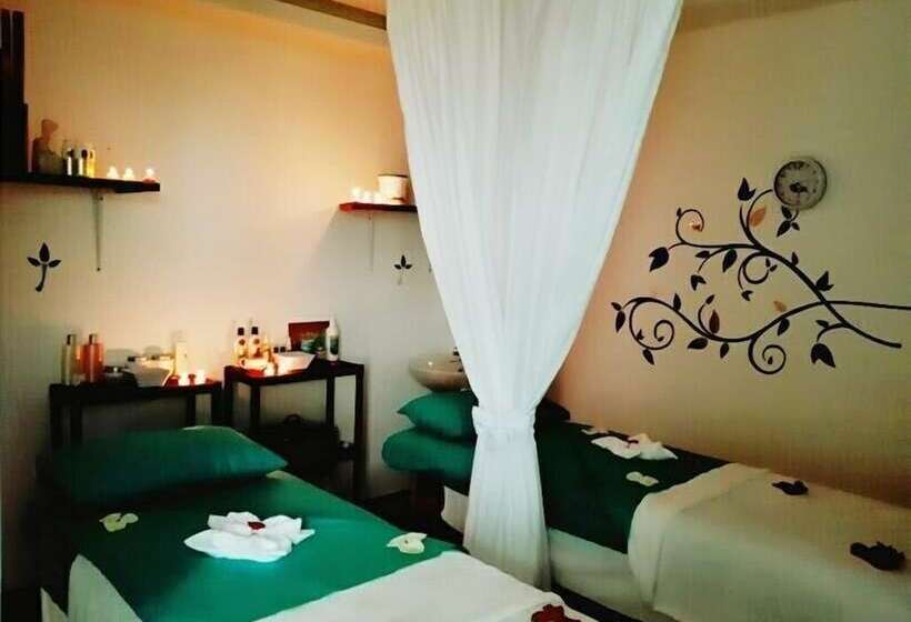 בית מלון כפרי Palmeras De Luz