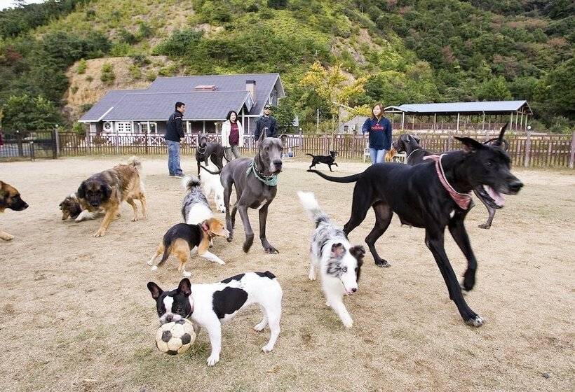 בית מלון כפרי Partners House Yuasa