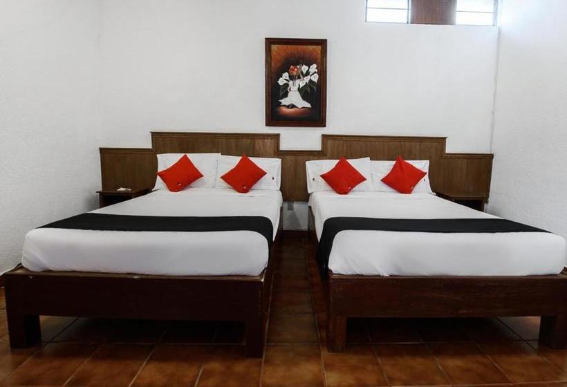 فندق Hacienda San Antonio