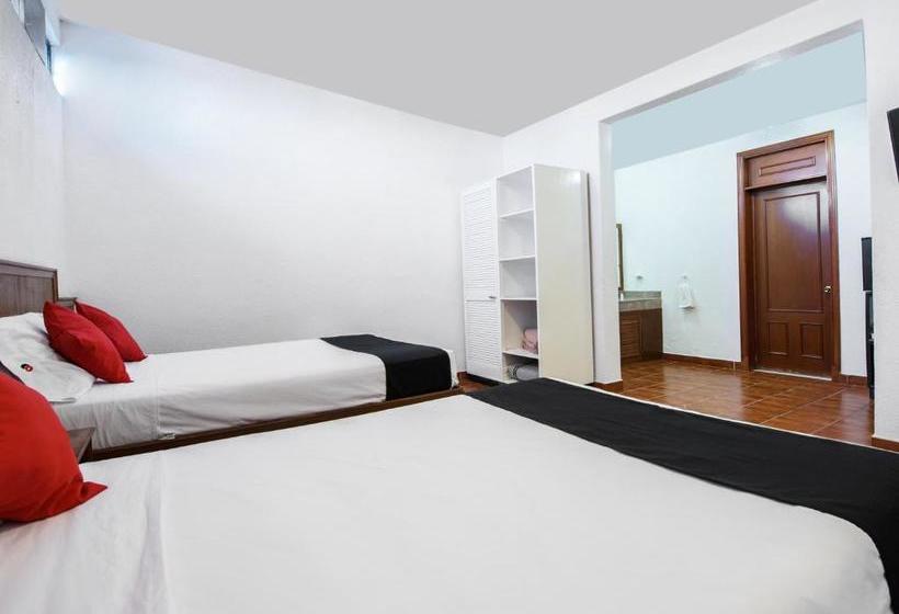 فندق Hacienda San Antonio