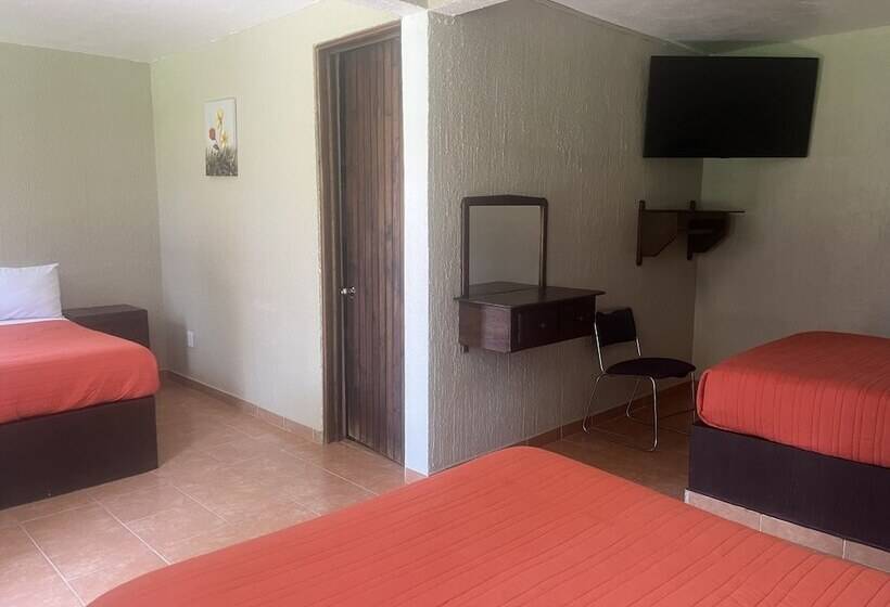 酒店 Real Campestre Tepetoci