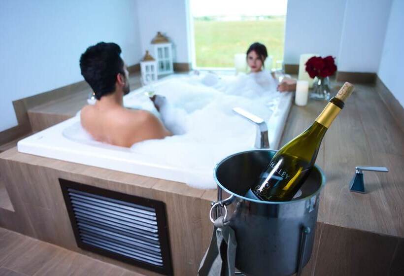 호텔 Viña Del Cielo