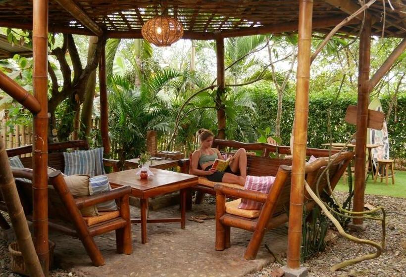 هتل Vistamar Guest House