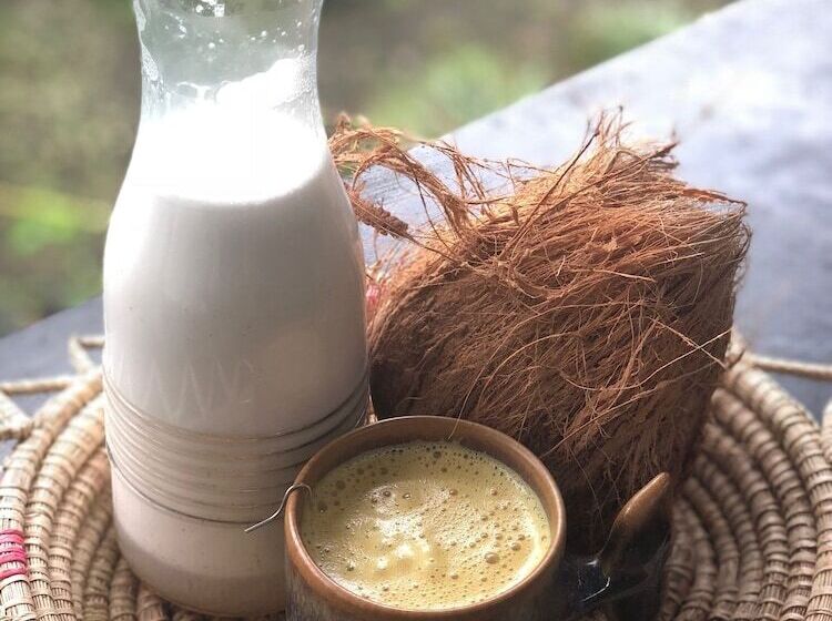 هتل Wild Child Village