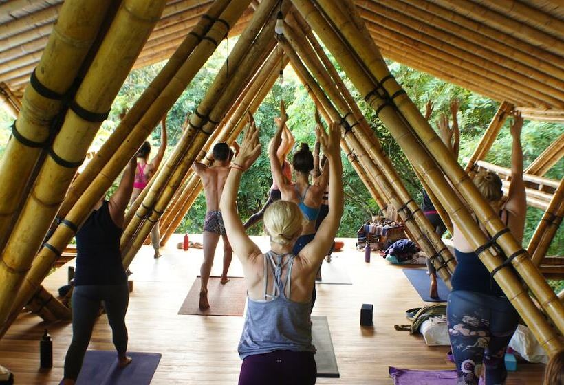 هتل Wild Child Village