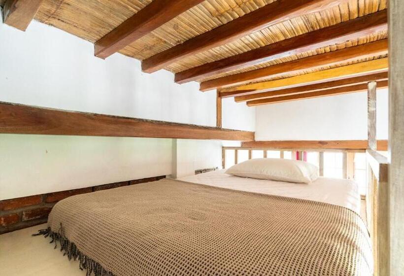 پانسیون Ganso & Búho