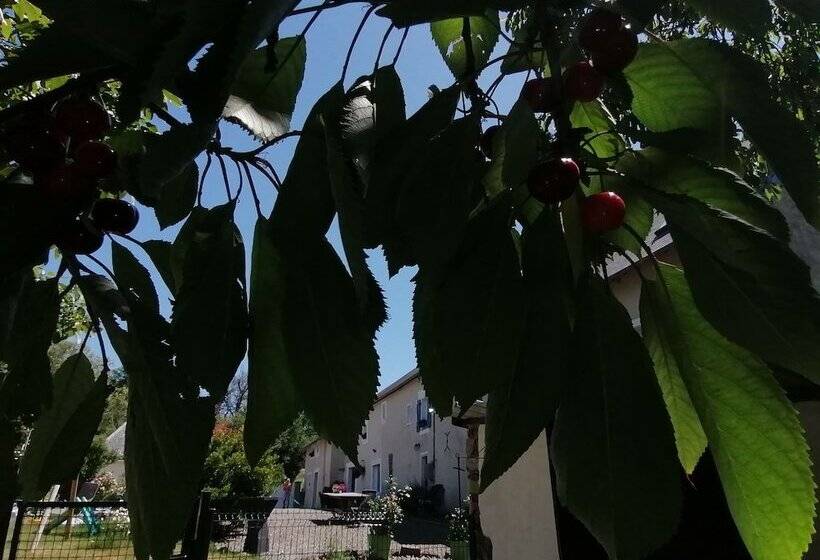 بنسيون La Parisiere