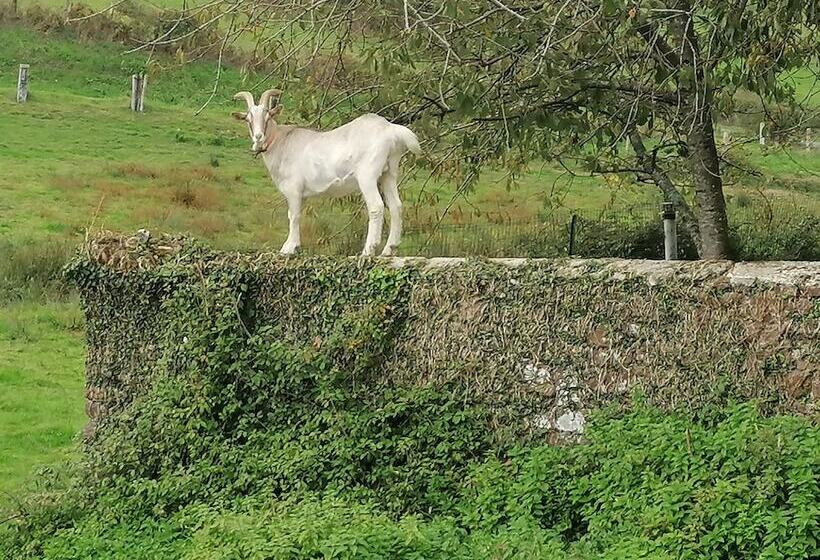 بنسيون La Parisiere