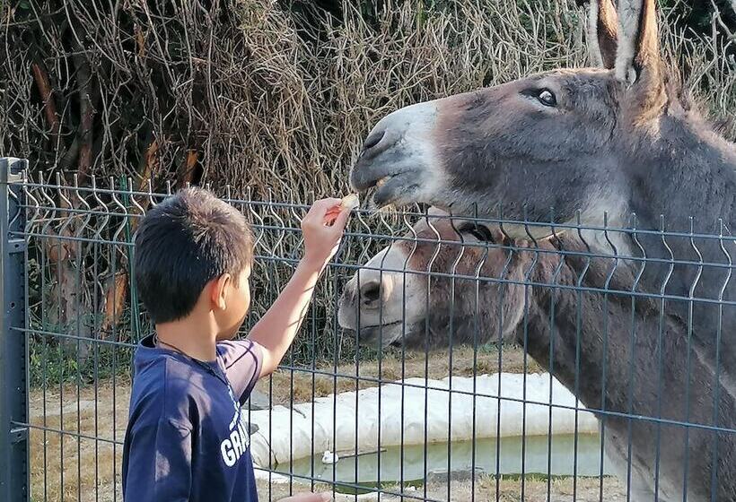 بنسيون La Parisiere