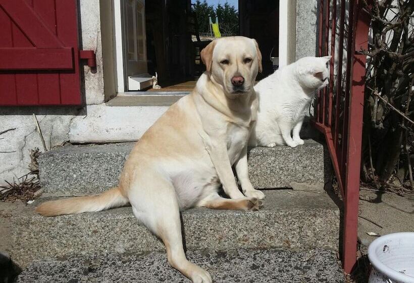 펜션 Le Logis De La Lande