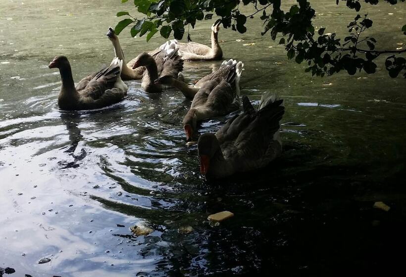 펜션 Le Logis De La Lande