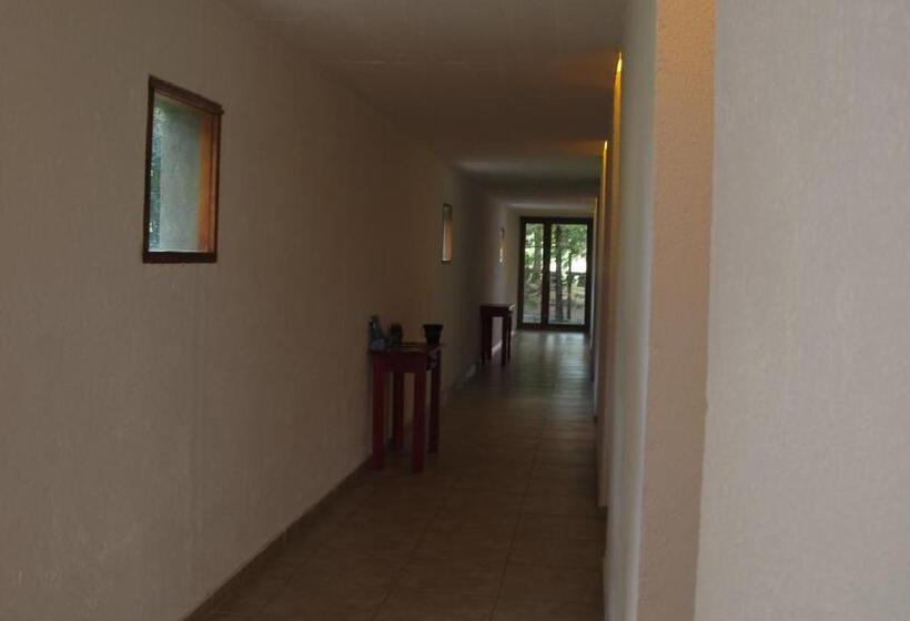 پانسیون Posada La Rosita