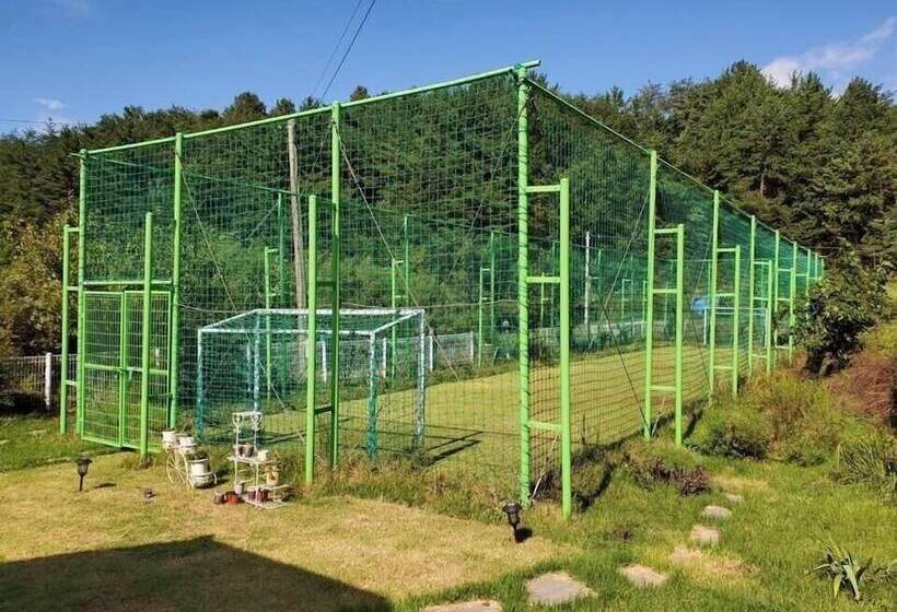 Sea And Sunset Pension