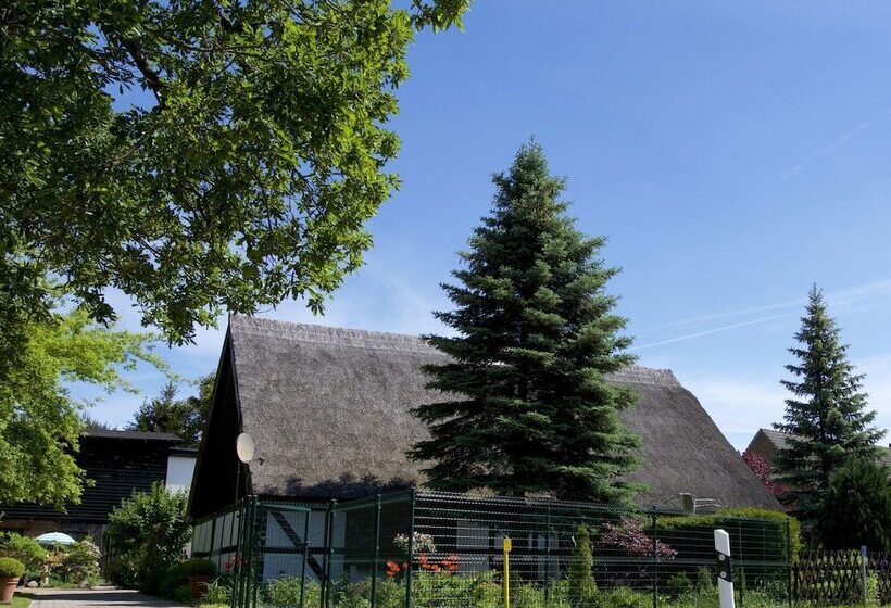 Sleep Under A Thatched Roof Apartment In Ahlbeck Near Haff