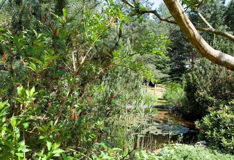 Sleep Under A Thatched Roof Apartment In Ahlbeck Near Haff