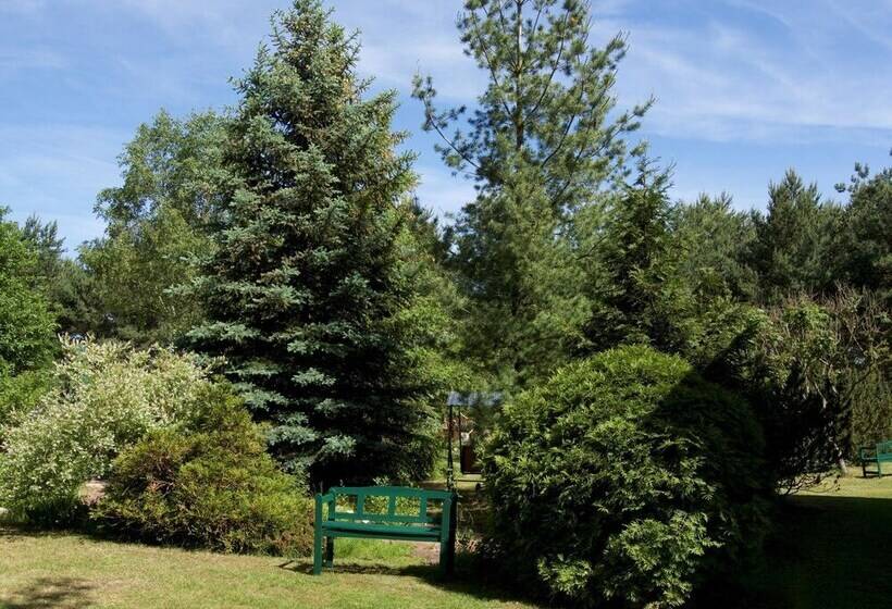 Sleep Under A Thatched Roof Apartment In Ahlbeck Near Haff