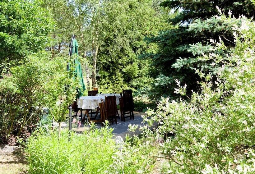 Sleep Under A Thatched Roof Apartment In Ahlbeck Near Haff