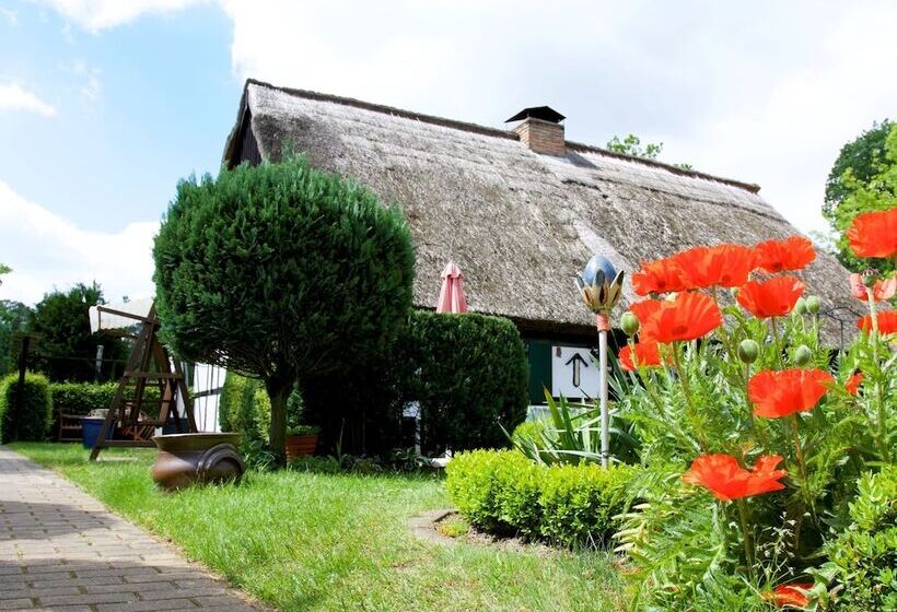 Sleep Under A Thatched Roof Apartment In Ahlbeck Near Haff