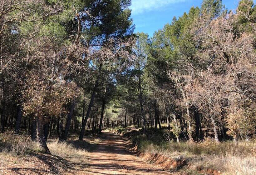 Casas Rurales Tio Mora