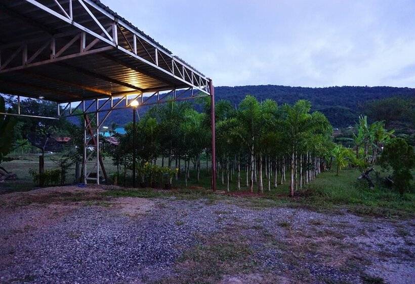 Be Cool Boutique Hotel @phurua